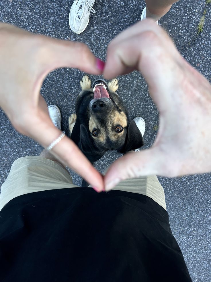 Persona haciendo un corazón con las manos sobre su perro feliz