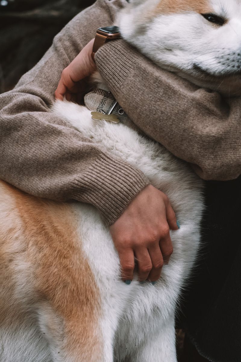 Persona abrazando con cariño a su perro