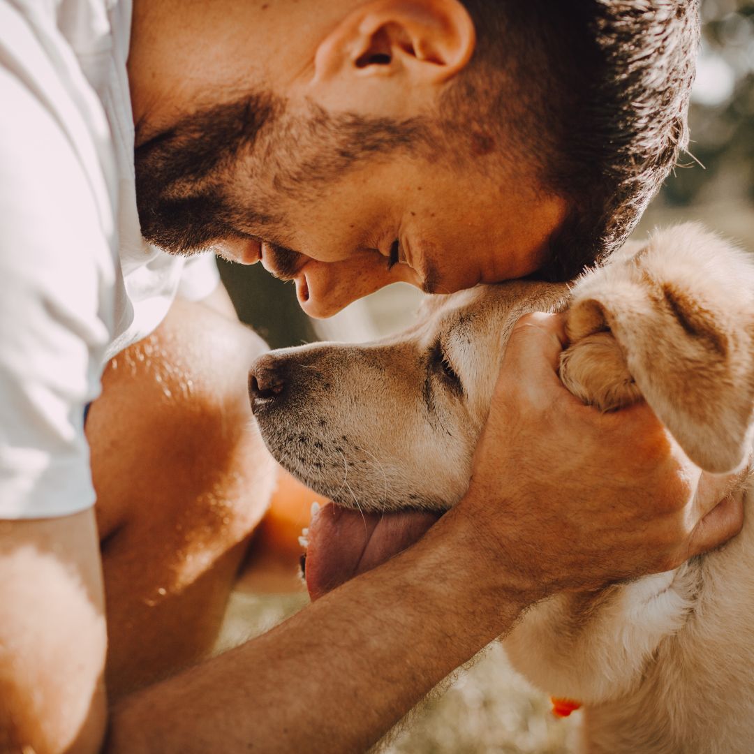 Humano y perro en un abrazo de confianza