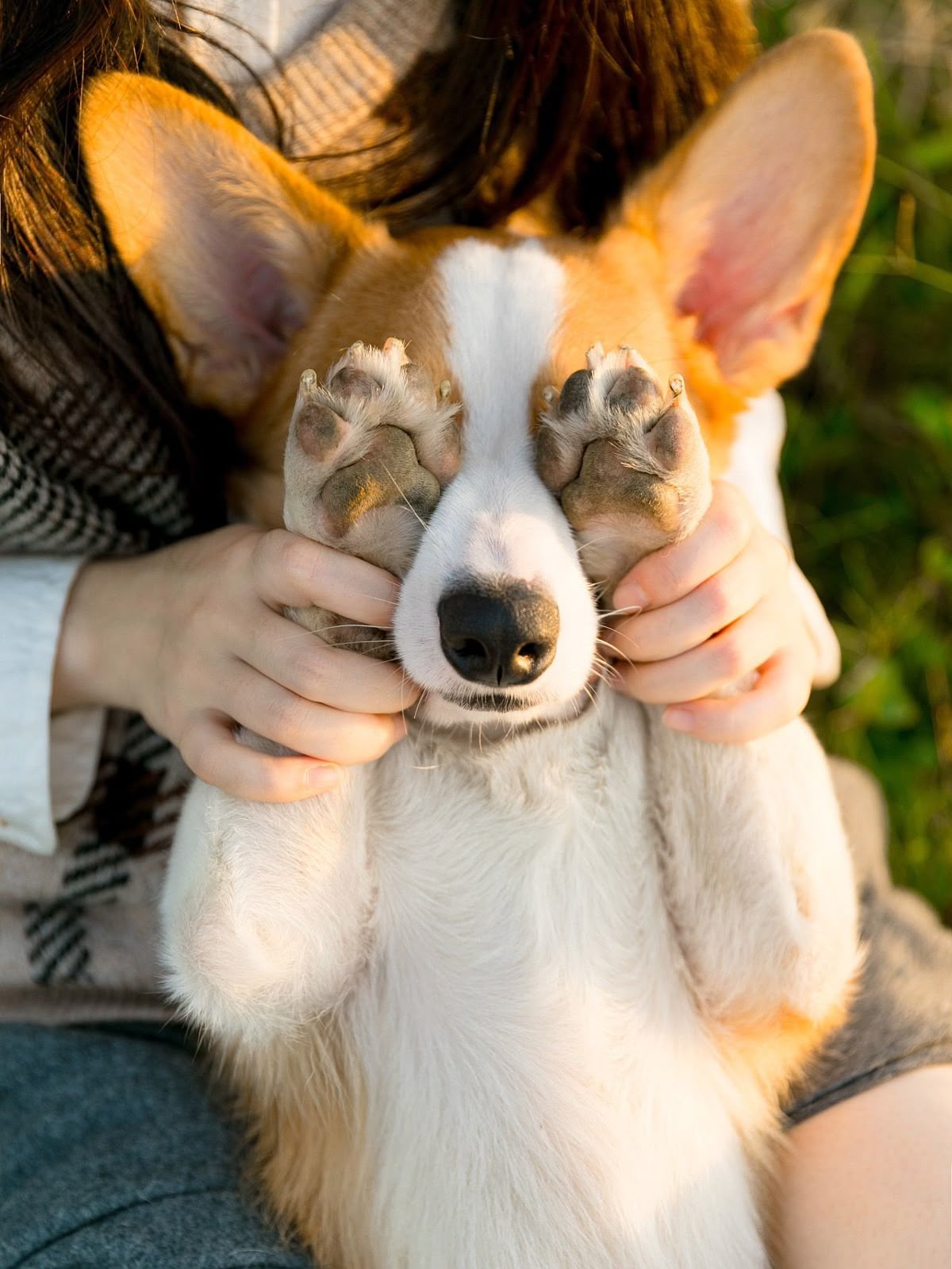 Productos de enriquecimiento Patas en Calma