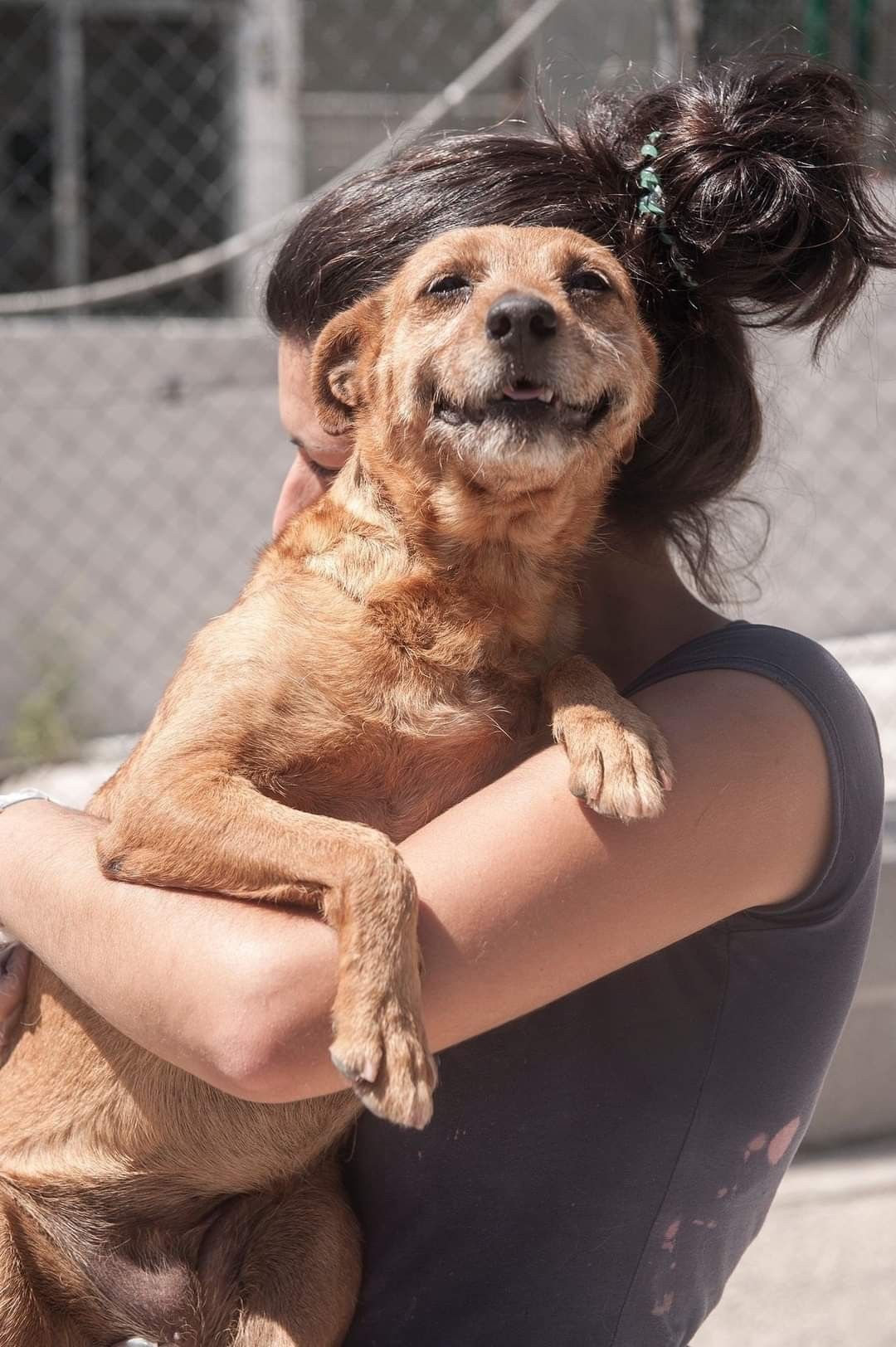 Persona abrazando a su perro adoptado